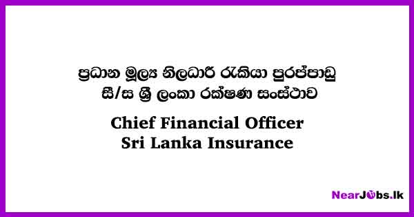 chief-financial-officer-vacancies-in-colombo-2024-sri-lanka-insurance