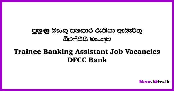 Trainee Banking Assistant Job Vacancies In Colombo Dfcc Bank Jobs 2024