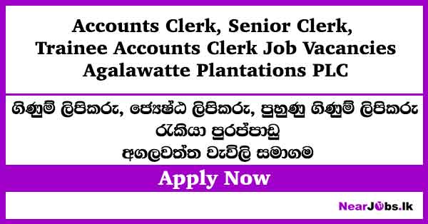 Accounts Clerk – Agalawatte Plantation Job Vacancies