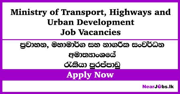 Accounts Officer – Ministry of Transport Job Vacancies 2026