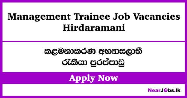 Apply Now – Hirdaramani Management Trainee Job Vacancies 2026