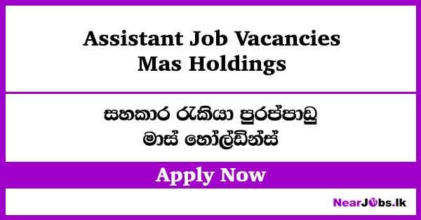 Apply Now – Mas Holdings Assistant Job Vacancies