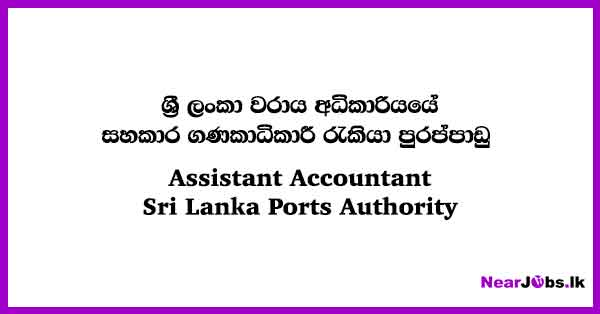 Assistant Accountant - Sri Lanka Ports Authority Job Vacancies 2024