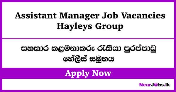 Assistant Manager – Hayleys Group Job Vacancies