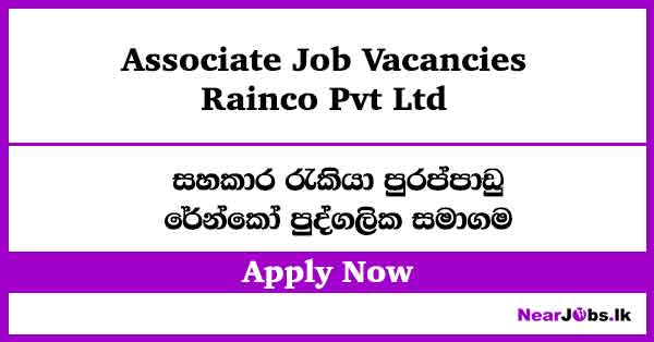 Associate at Rainco Job Vacancies 2026