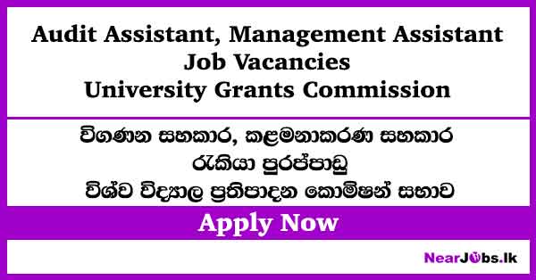 Audit Assistant, Management Assistant – University Grants Commission Job Vacancies