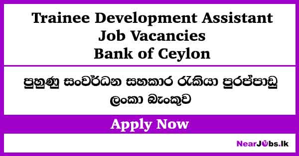 Boc Bank Trainee Development Assistant Job Vacancies 2026 – boc.lk