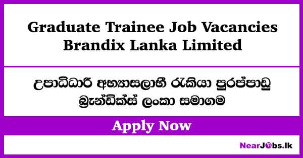 Brandix Lanka Graduate Trainee Job Vacancies