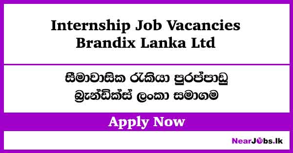 Brandix Lanka Internship Job Vacancies in Ratmalana