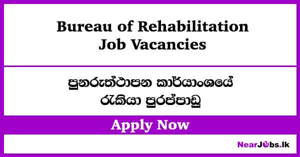 Bureau of Rehabilitation Job Vacancies 2026