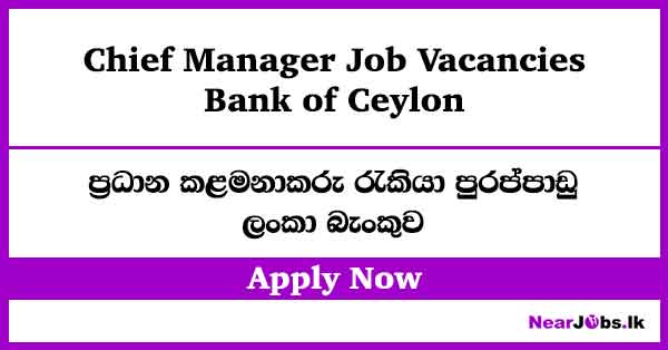 Chief Manager at Boc Bank Job Vacancies 2026 – boc.lk