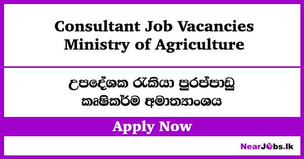 Consultant – Ministry of Agriculture Job Vacancies 2026