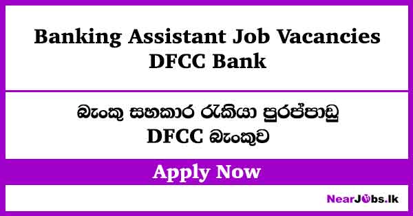 DFCC Bank Banking Assistant Job Vacancies