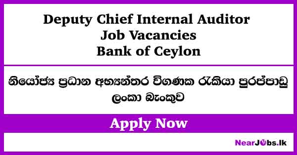Deputy Chief Internal Auditor at Boc Bank Job Vacancies 2026 – boc.lk