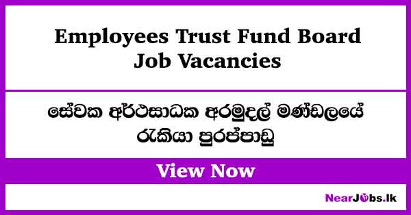 Employees Trust Fund Board Job Vacancies 2026