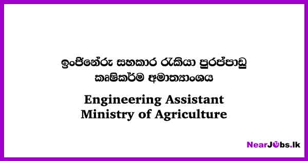 Engineering Assistant - Ministry of Agriculture Jobs 2024