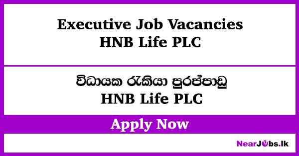 Executive – HNB Life Job Vacancies 2026