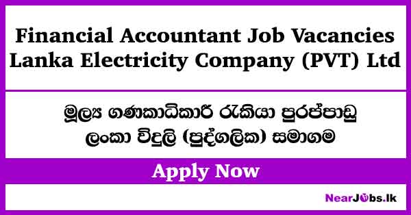 Financial Accountant – LECO Job Vacancies 2026