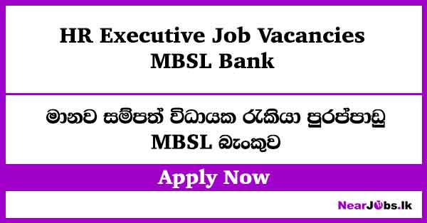 HR Executive – MBSL Job Vacancies 2026