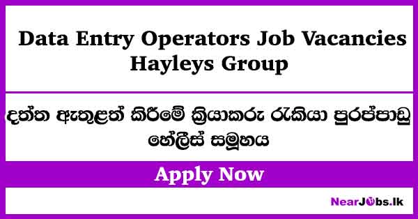 Hayleys Group Job Vacancies for Data Entry Operators