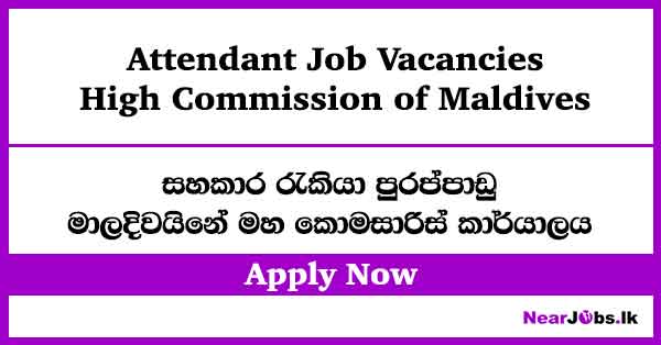 High Commission of Maldives Job Vacancies