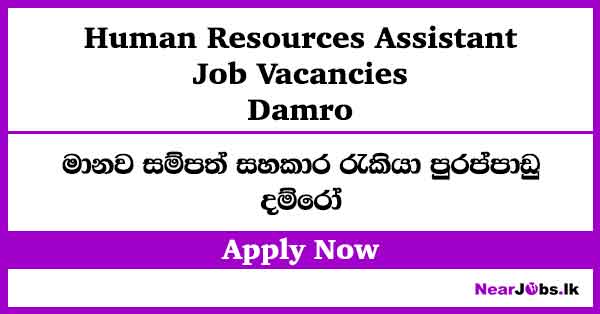 Human Resources Assistant at Damro Job Vacancies 2026