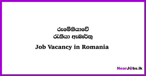 Job Vacancy In Romania 2024 