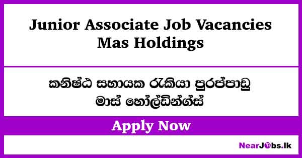 Junior Associate – Mas Holdings Vacancies in Malabe