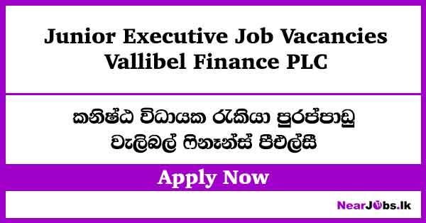 Junior Executive – Vallibel Finance Job Vacancies