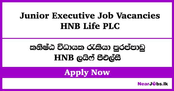 Junior Executive at HNB Life Job Vacancies 2026