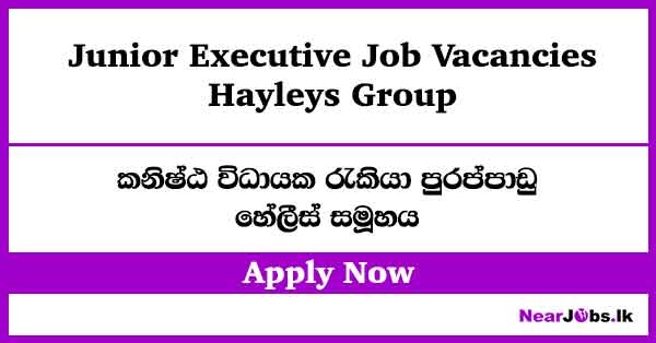 Junior Executive at Hayleys Group Job Vacancies
