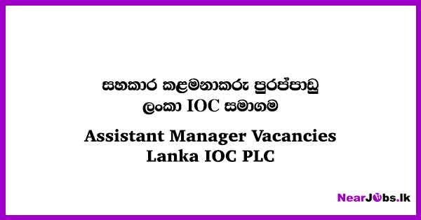 Nearjobs Lk Guide To Finding A Job In Sri Lanka