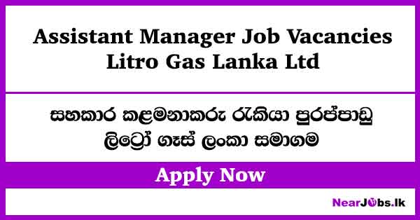 Litro Gas Assistant Manager Job Vacancies