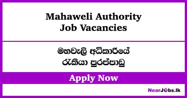 Mahaweli Authority Job Vacancies 2026