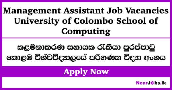 Management Assistant – Colombo University Vacancies 2026