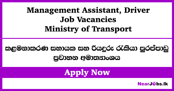 Management Assistant, Driver – Ministry of Transport Job Vacancies