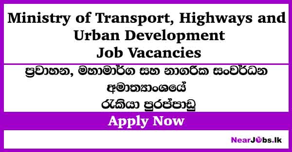 Management Assistant, Driver, Quantity Surveyor – Ministry of Transport Job Vacancies