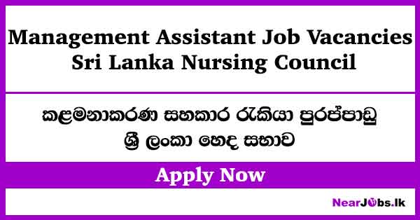 Management Assistant Job Vacancies 2026 – Sri Lanka Nursing Council