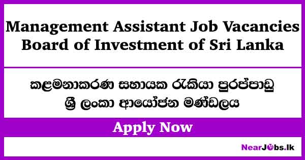 Management Assistant Job Vacancies at Board of Investment