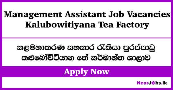 Management Assistant Job Vacancies – Kalubowitiyana Tea Factory