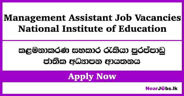 Management Assistant Job Vacancies – National Institute of Education