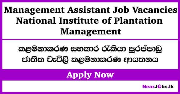 Management Assistant Job Vacancies – National Institute of Plantation Management