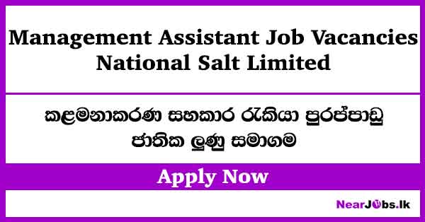 Management Assistant Job Vacancies – National Salt Limited