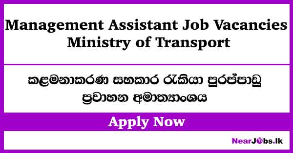 Management Assistant Job Vacancies at Ministry of Transport