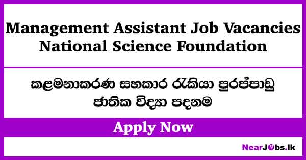Management Assistant Job Vacancies in National Science Foundation