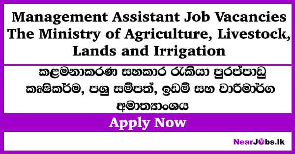 Management Assistant – Ministry of Agriculture Job Vacancies 2026