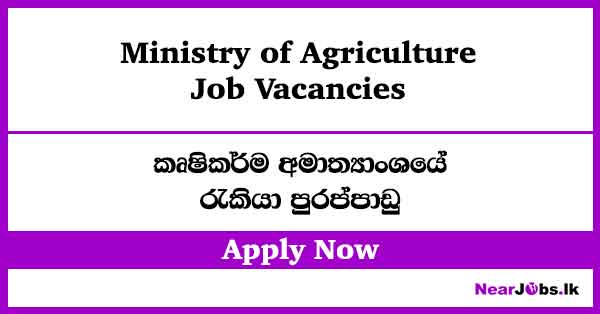 Management Assistant, Draughtsman – Ministry of Agriculture Job Vacancies 2026
