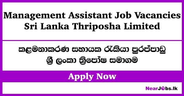 Management Assistant – Sri Lanka Thriposha Limited Vacancies 2026