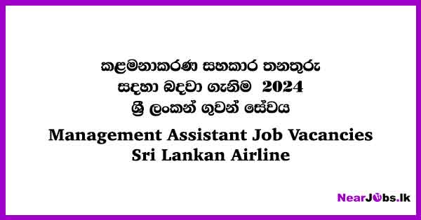 Management Assistant - Sri Lankan Airline Job Vacancies 2024