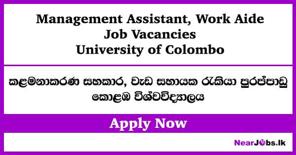 Management Assistant- University of Colombo Vacancies 2026